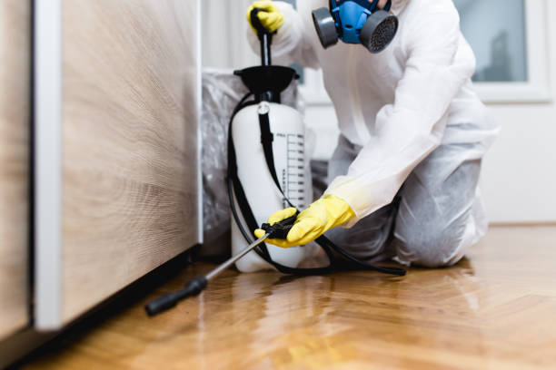 Pest Control for Restaurants in Chinchilla, PA